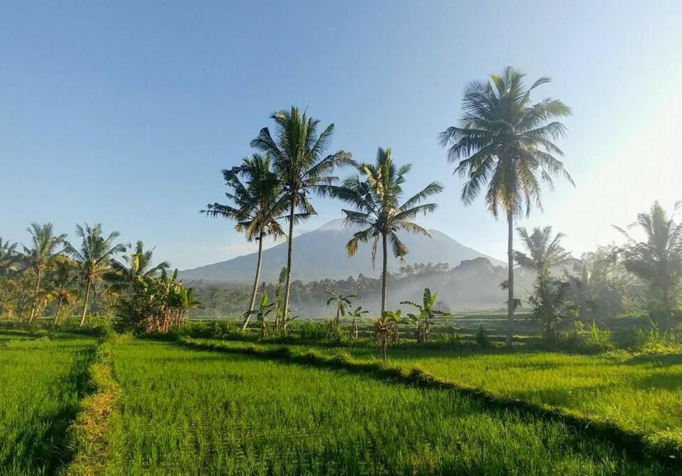 Temawang 422765569