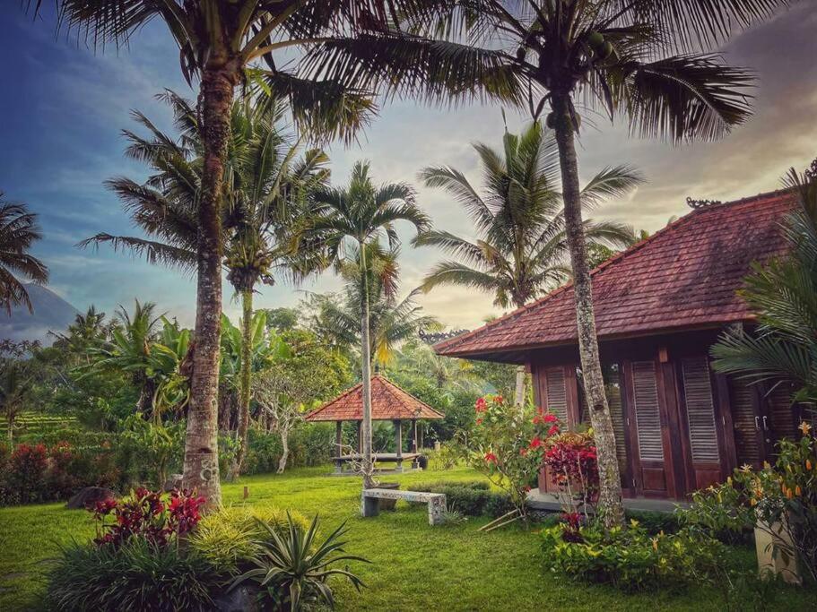 Temawang 422765602